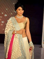 Shriya Ramp Walk Photos